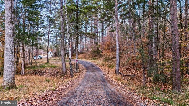 view of road