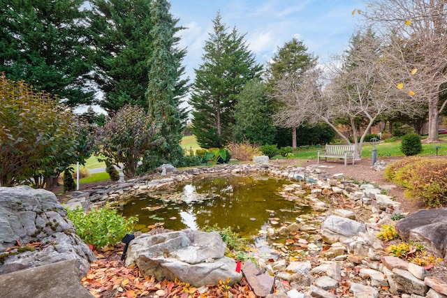 view of yard featuring a garden pond