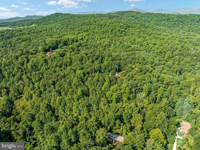 aerial view with a mountain view