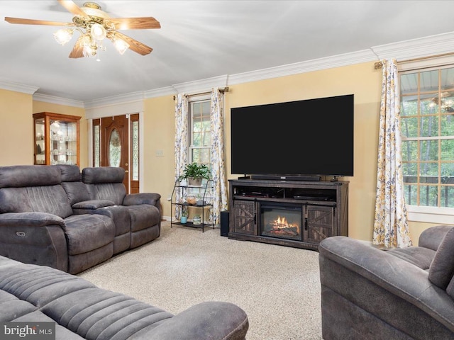 living room with crown molding, carpet floors, and ceiling fan