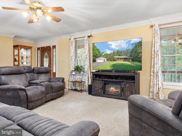 living room with crown molding, ceiling fan, and carpet flooring