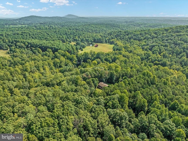 bird's eye view with a mountain view