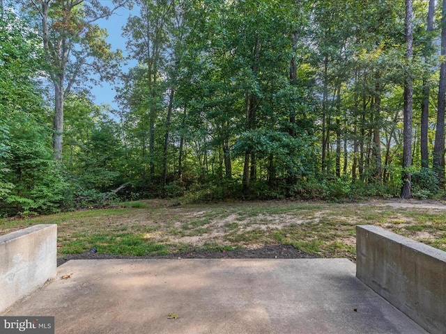 view of yard with a patio area