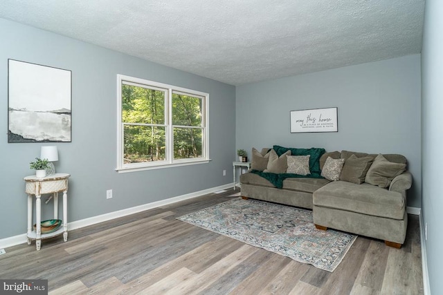 living room featuring wood-type flooring and a textured ceiling