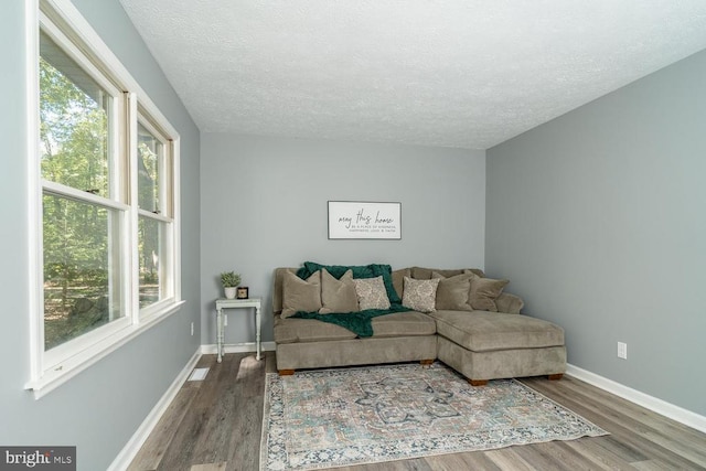 living room featuring wood-type flooring and a textured ceiling