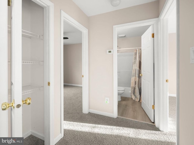 corridor featuring carpet floors and baseboards