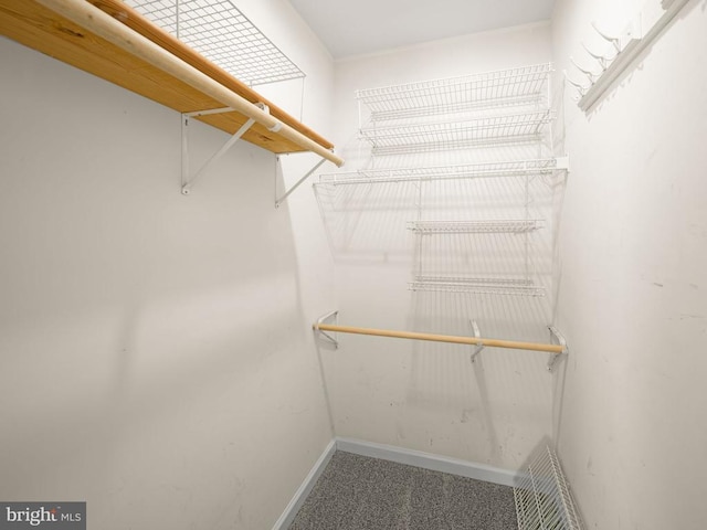 spacious closet with carpet flooring