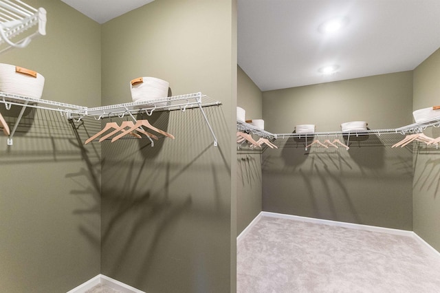 spacious closet with carpet flooring