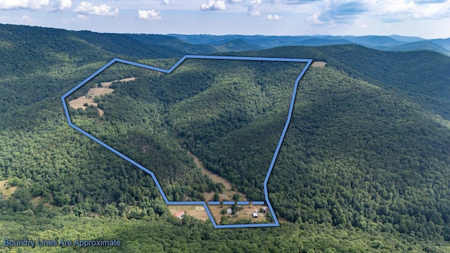 22590 Criders Rd, Criders VA, 22820 land for sale