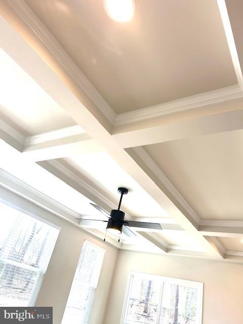 room details featuring coffered ceiling, beam ceiling, ornamental molding, and ceiling fan