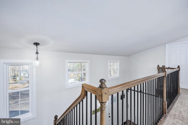 corridor with carpet, a healthy amount of sunlight, lofted ceiling, and an upstairs landing