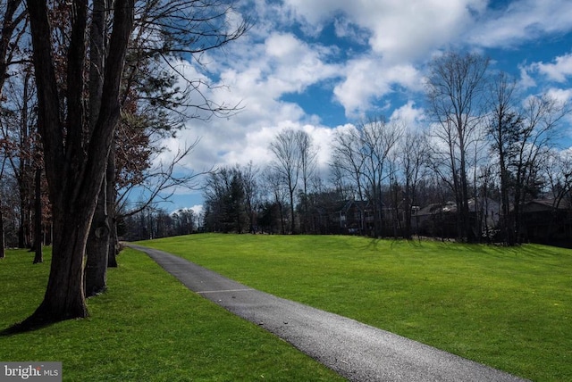 view of community featuring a yard