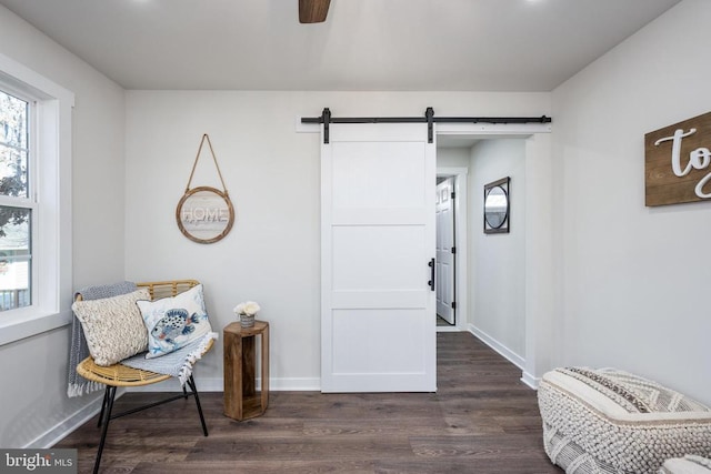 living area featuring a barn door, dark wood-type flooring, and baseboards