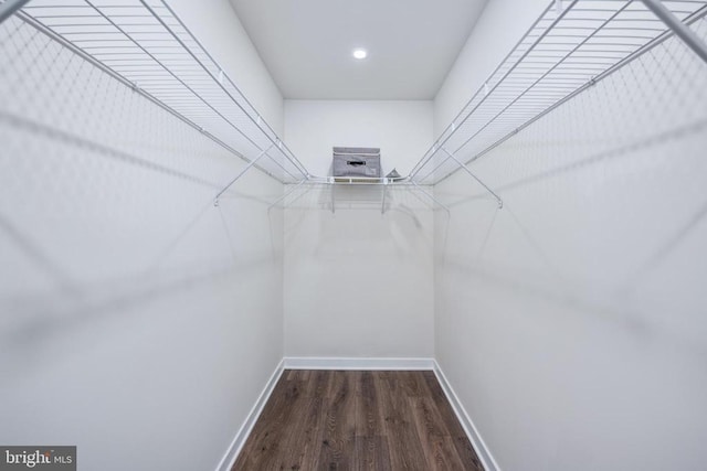 spacious closet featuring wood finished floors