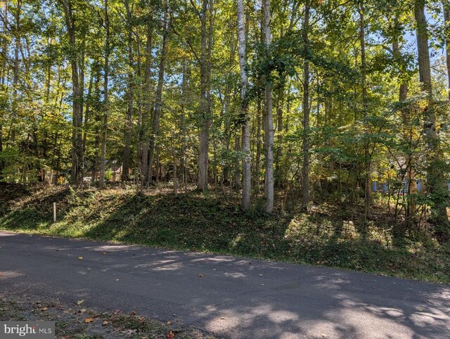 905 Eastover Pkwy, Locust Grove VA, 22508 land for sale