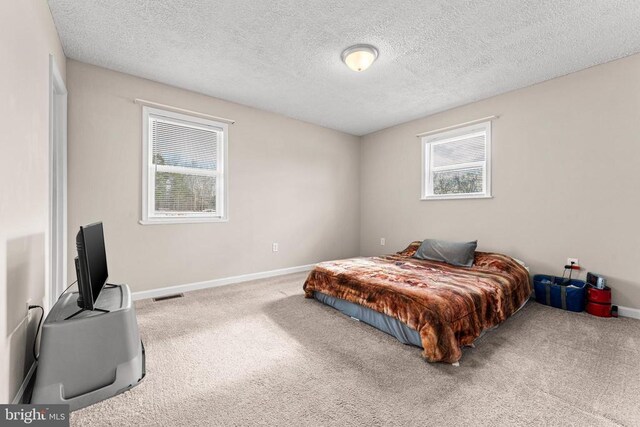 bedroom with carpet floors, multiple windows, and a textured ceiling