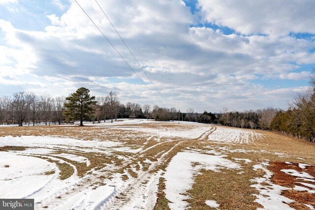 view of yard covered in snow