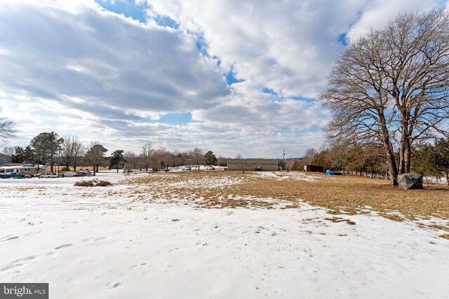 view of yard layered in snow