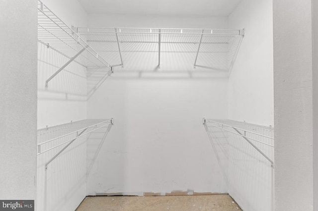 view of spacious closet