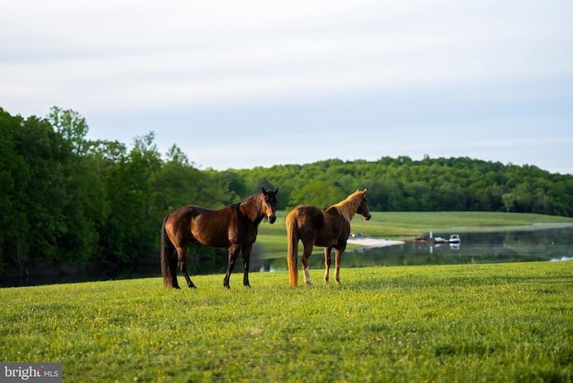 Listing photo 3 for 510 Mount Pleasant Farm Rd, Scottsville VA 24590