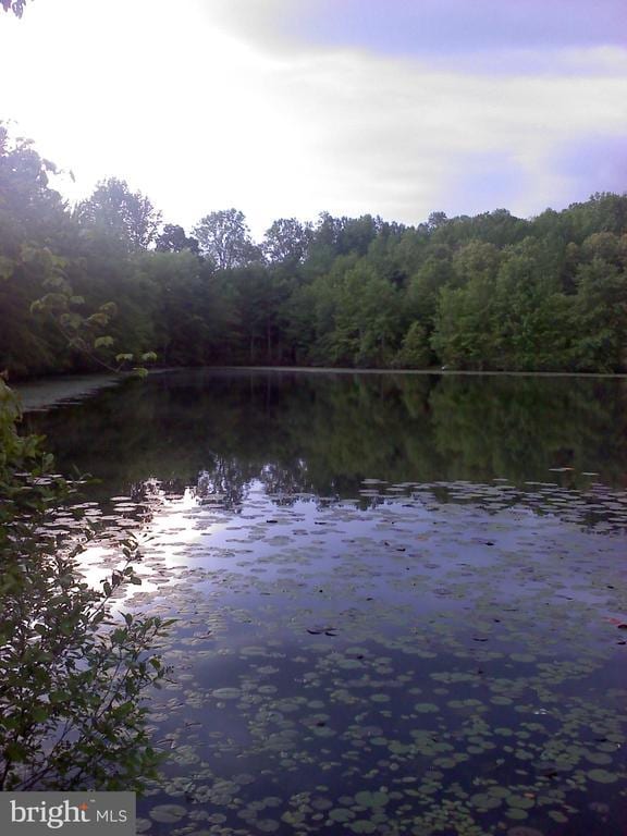 water view with a wooded view