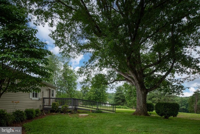 view of yard featuring a wooden deck