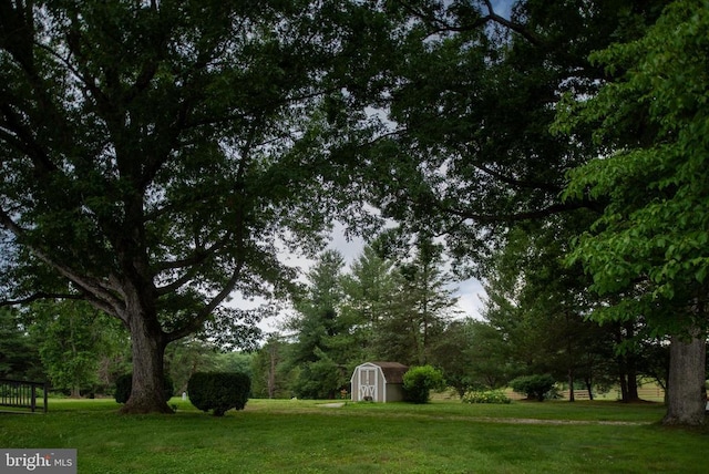 view of yard with a storage shed