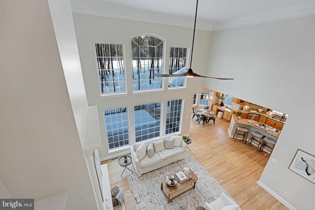 living area with crown molding, a high ceiling, baseboards, and wood finished floors