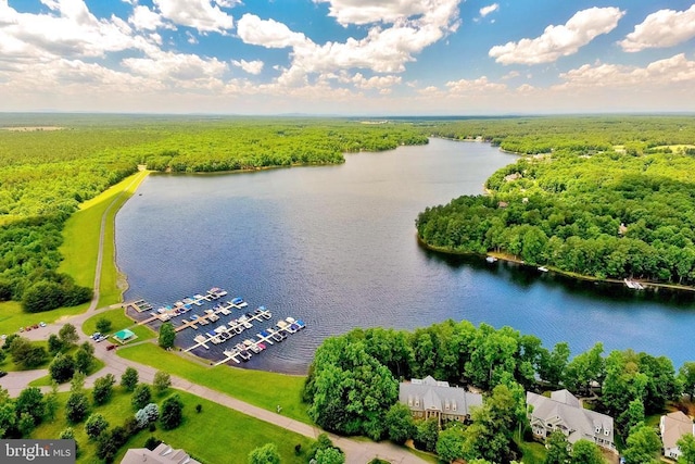 aerial view with a water view and a forest view