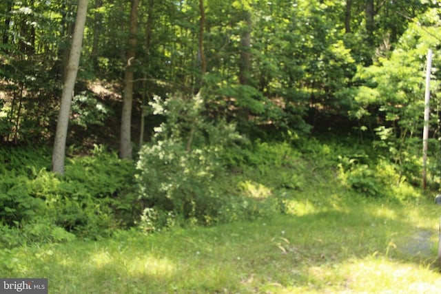 0 Nethers, Sperryville VA, 22740 land for sale