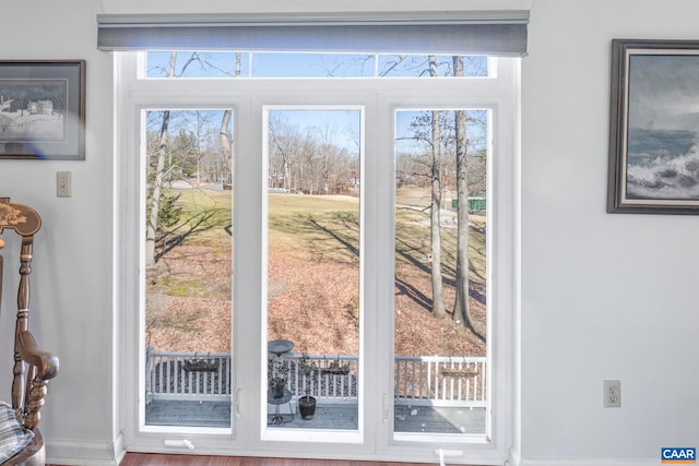 entryway featuring a wealth of natural light and baseboards