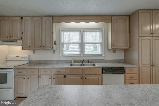 kitchen with white appliances, light brown cabinets, under cabinet range hood, and a sink