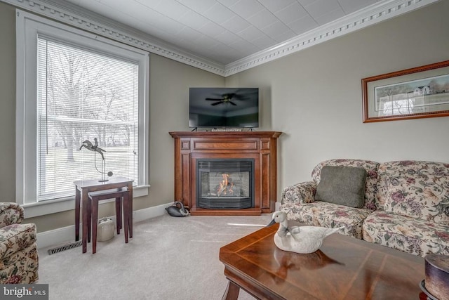 carpeted living room with a glass covered fireplace, crown molding, a healthy amount of sunlight, and visible vents