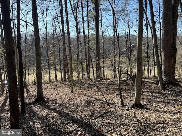 Duet Rd, Madison VA, 22727 land for sale