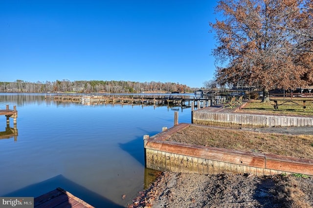 dock area featuring a water view