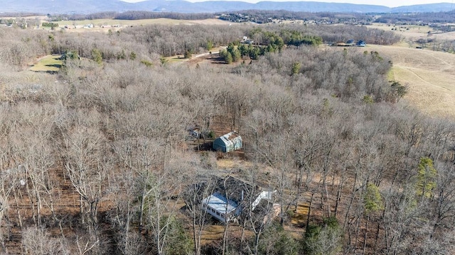 bird's eye view featuring a rural view and a mountain view