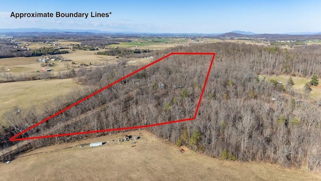 birds eye view of property with a mountain view