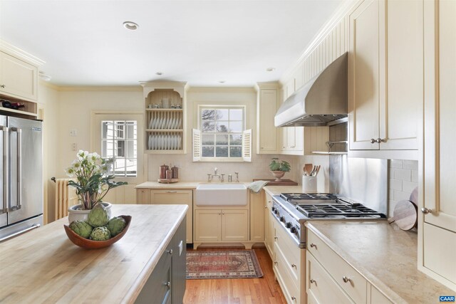 kitchen with a sink, wall chimney range hood, a healthy amount of sunlight, and stainless steel appliances