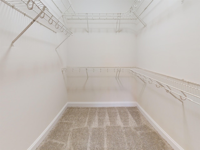 walk in closet featuring carpet floors