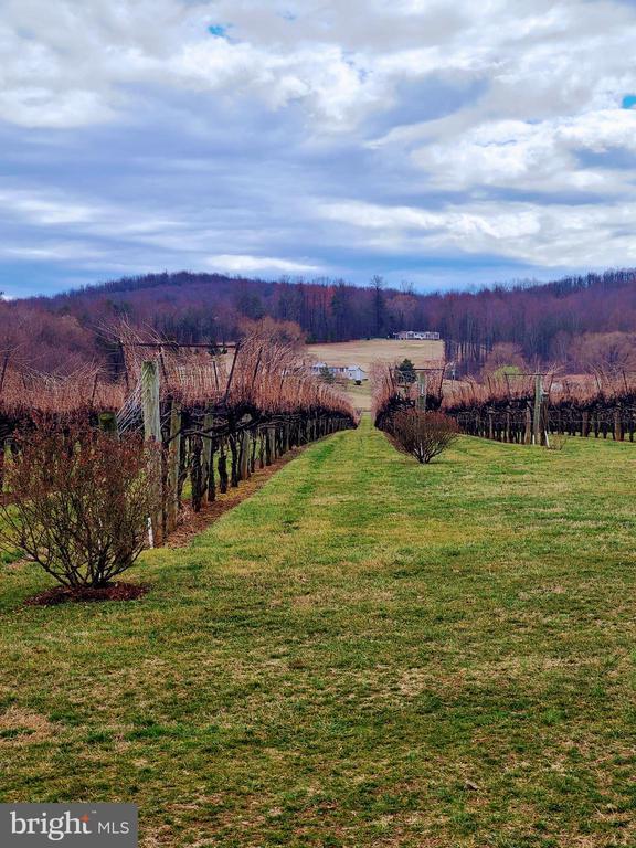 property view of mountains featuring a rural view