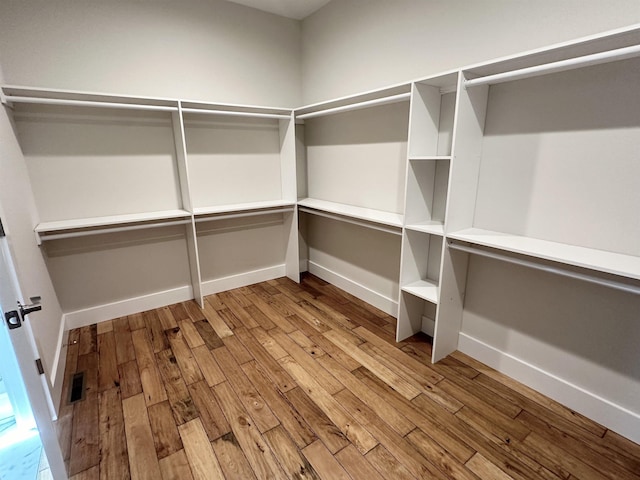 spacious closet featuring light hardwood / wood-style floors