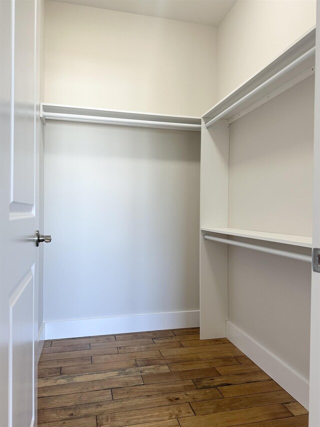 walk in closet featuring dark hardwood / wood-style floors