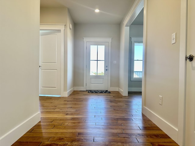 doorway featuring wood-type flooring