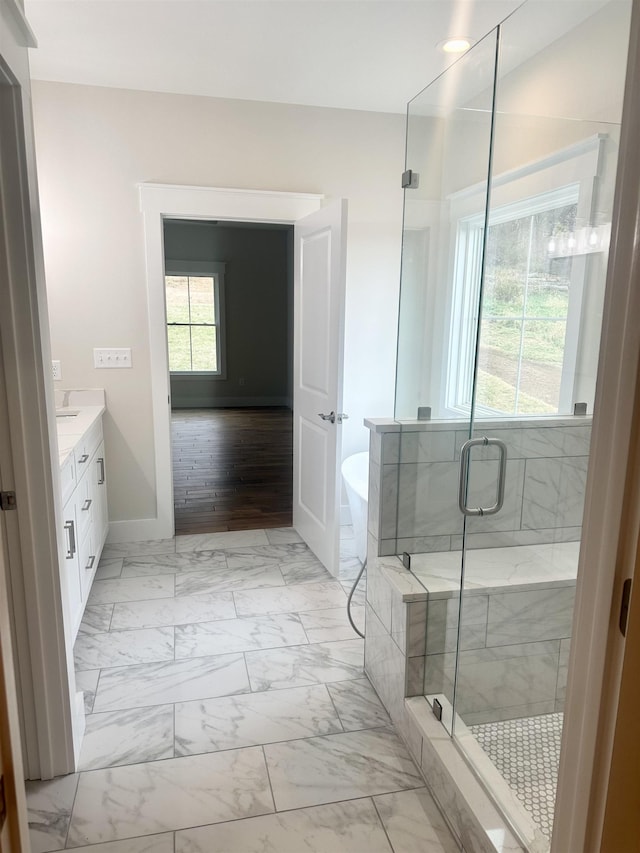 bathroom with vanity, plus walk in shower, and a healthy amount of sunlight