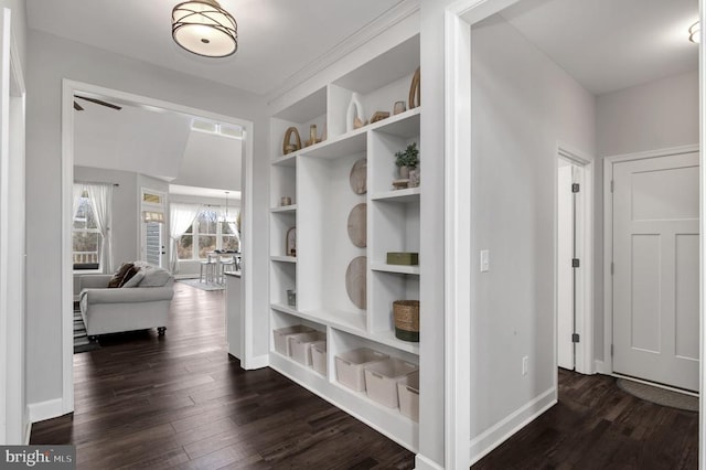 mudroom with built in shelves, dark wood-style floors, and baseboards