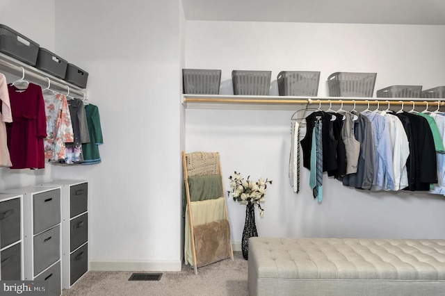 spacious closet with carpet flooring and visible vents