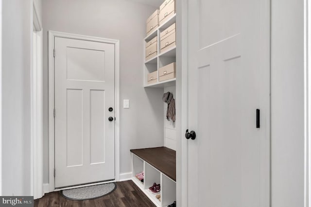 mudroom with dark wood-type flooring