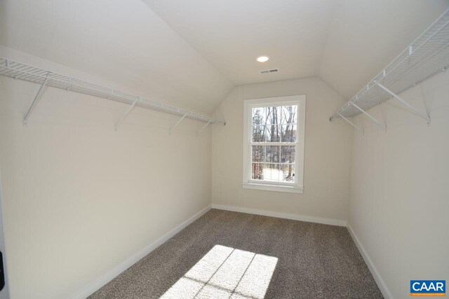 spacious closet with vaulted ceiling and carpet flooring