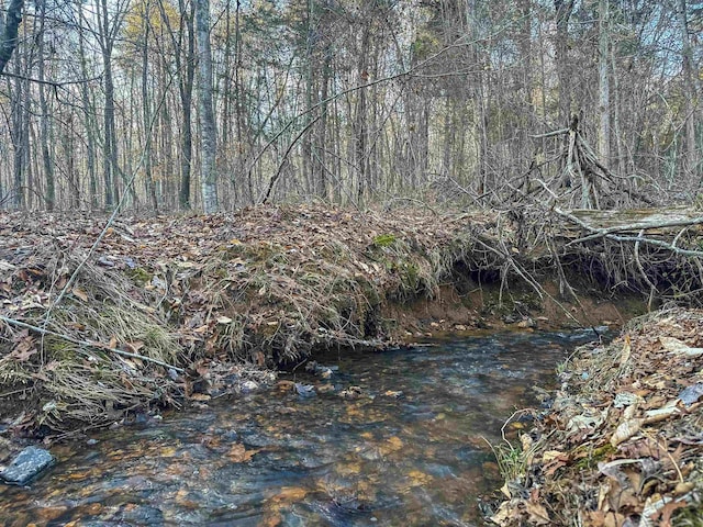 Listing photo 3 for TBD Glade Rd, Shipman VA 22971