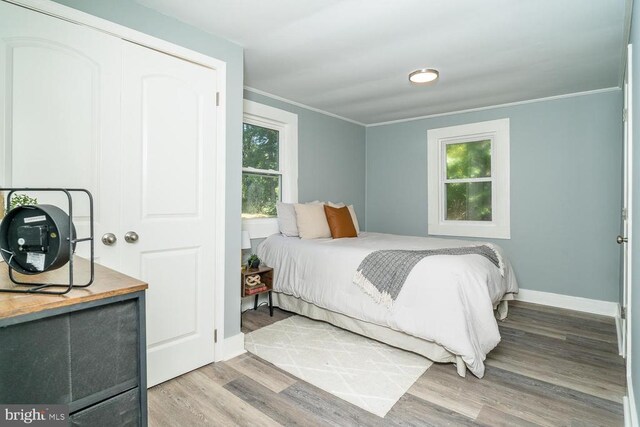 bedroom featuring ornamental molding and wood-type flooring